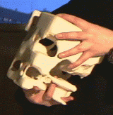 objectil